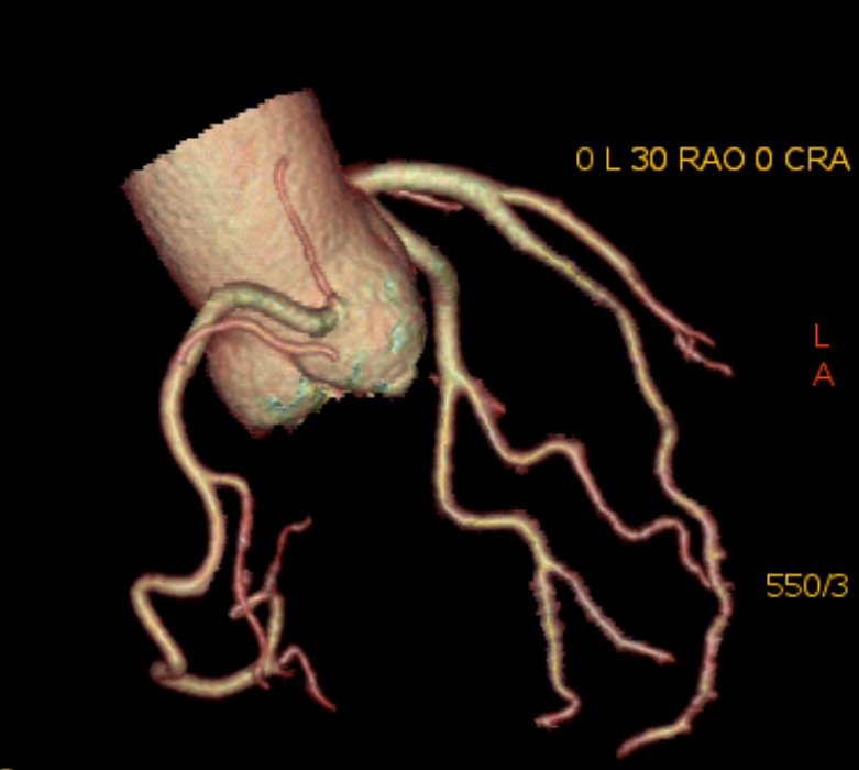 image003.png image003.png