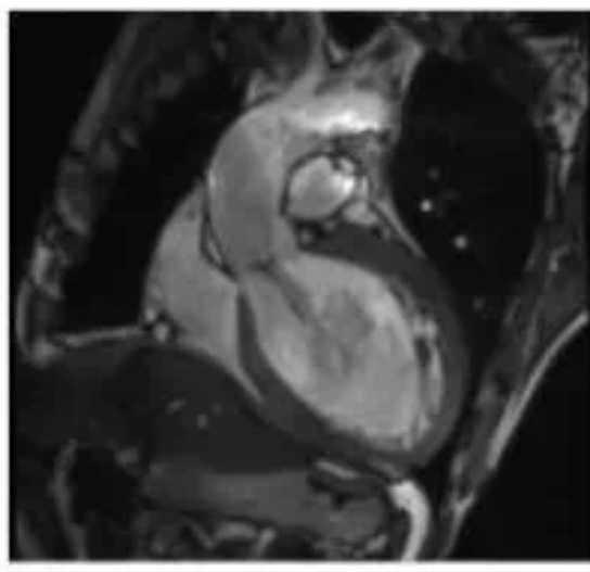 image005.jpg image005.jpg