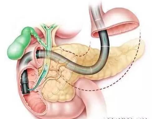 image001.jpg image001.jpg