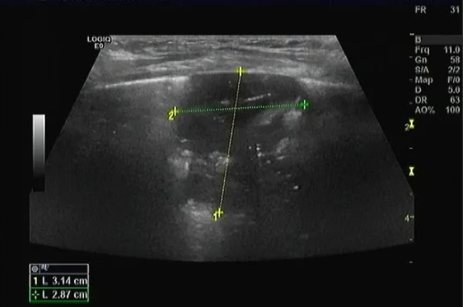 微信圖片_20241101142221.png 微信圖片_20241101142221.png