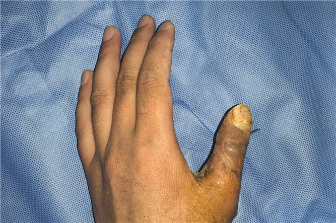 微信圖片_20250513150913_副本.jpg 微信圖片_20250513150913_副本.jpg